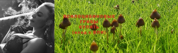 эйфоретик Балабаново