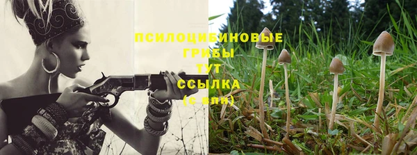 каннабис Баксан