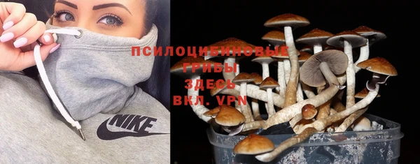 каннабис Баксан